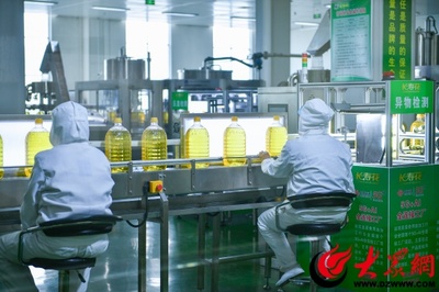 長壽花食品股份 以科技創新驅動企業發展與技術推廣